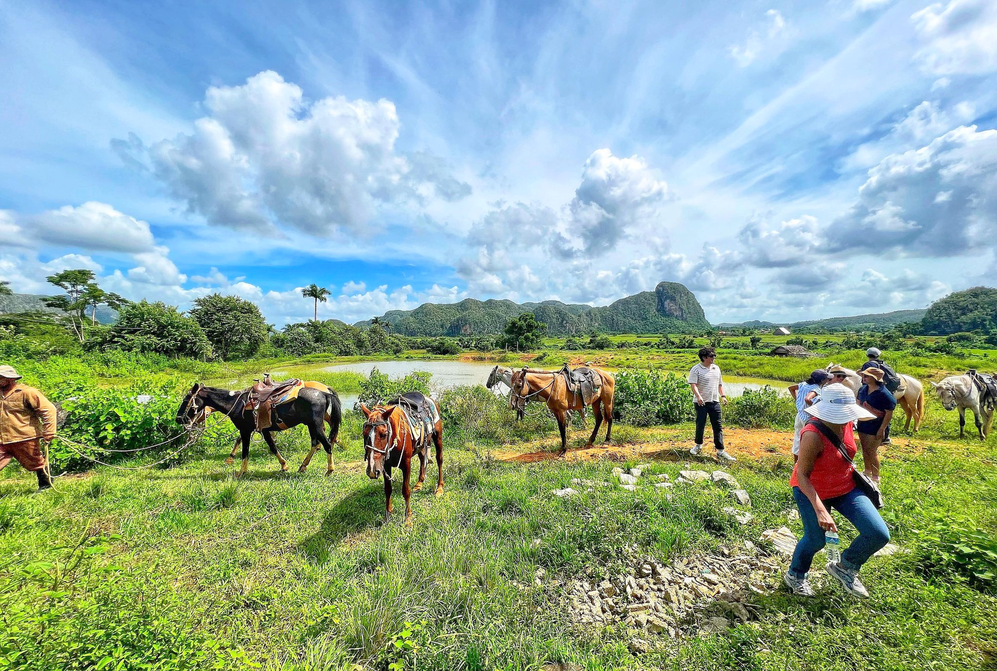 Horseback riding in Viñales